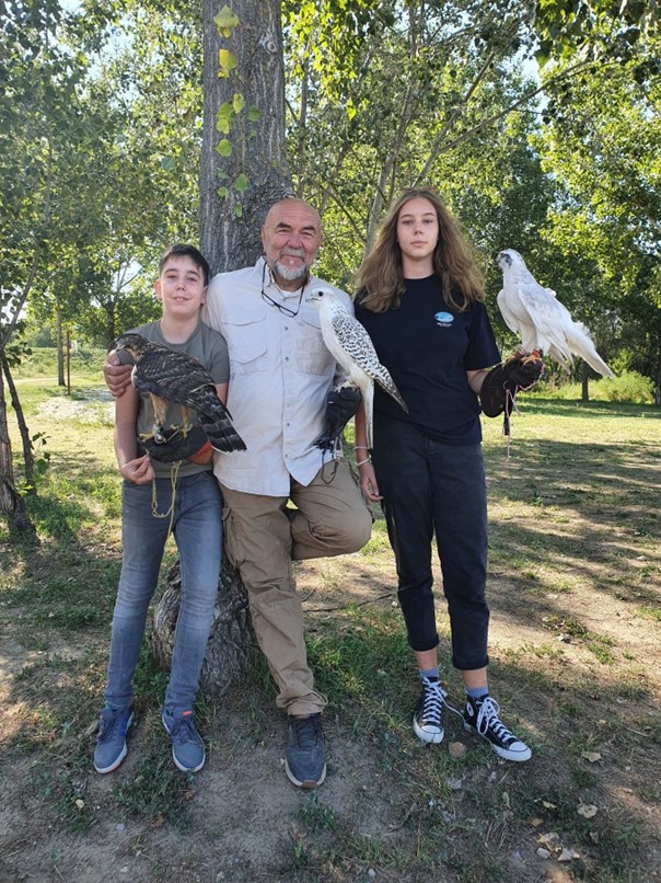 Tibor Falcons Falconry Motel cover image