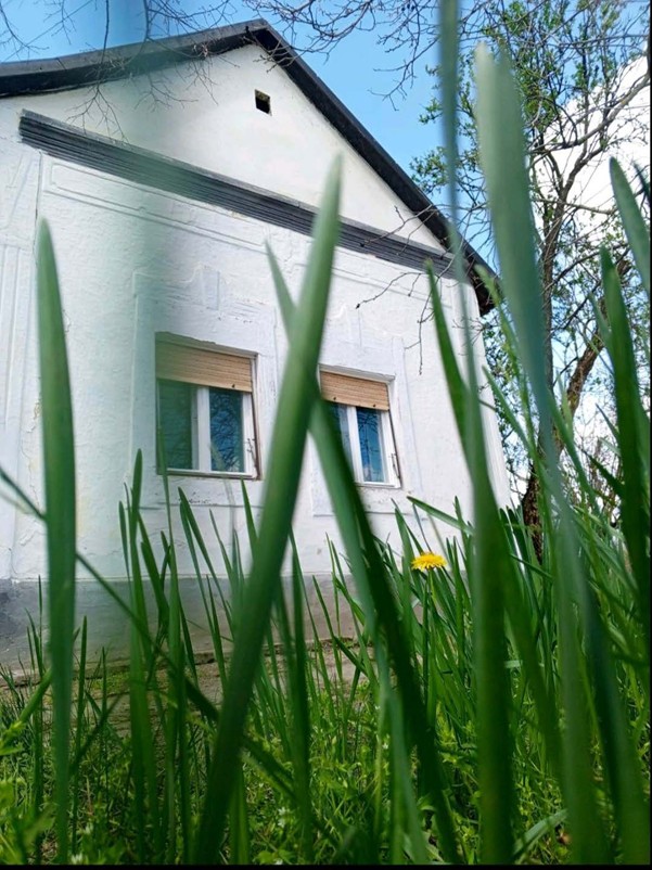 Poljoprivredno gazdinstvo Marlena Dietrich cover image