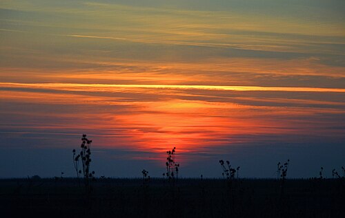 Visitor trail Selevenj Javno preduzeće “Palić-Ludaš”  cover image