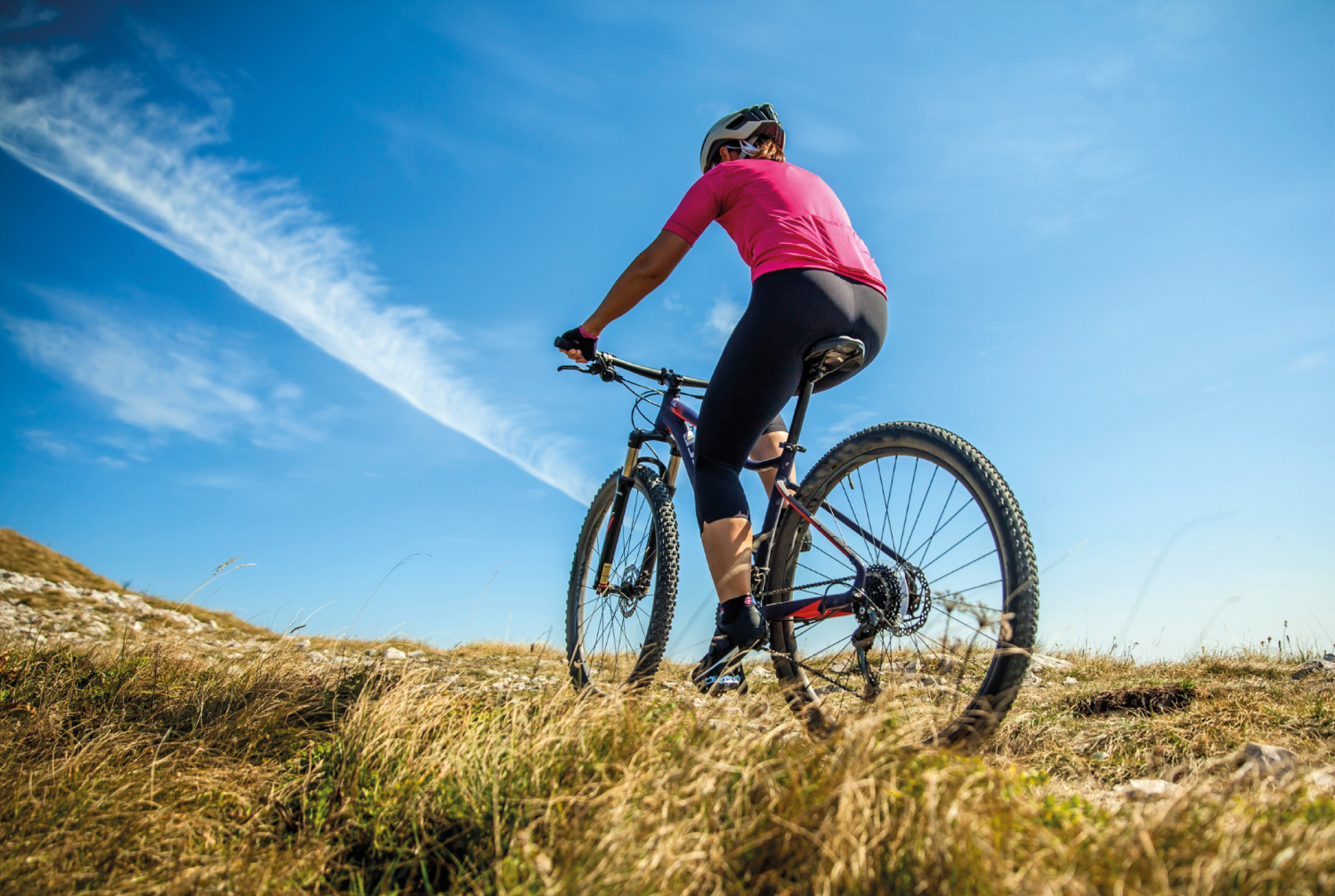 Bridges of Banat cover image